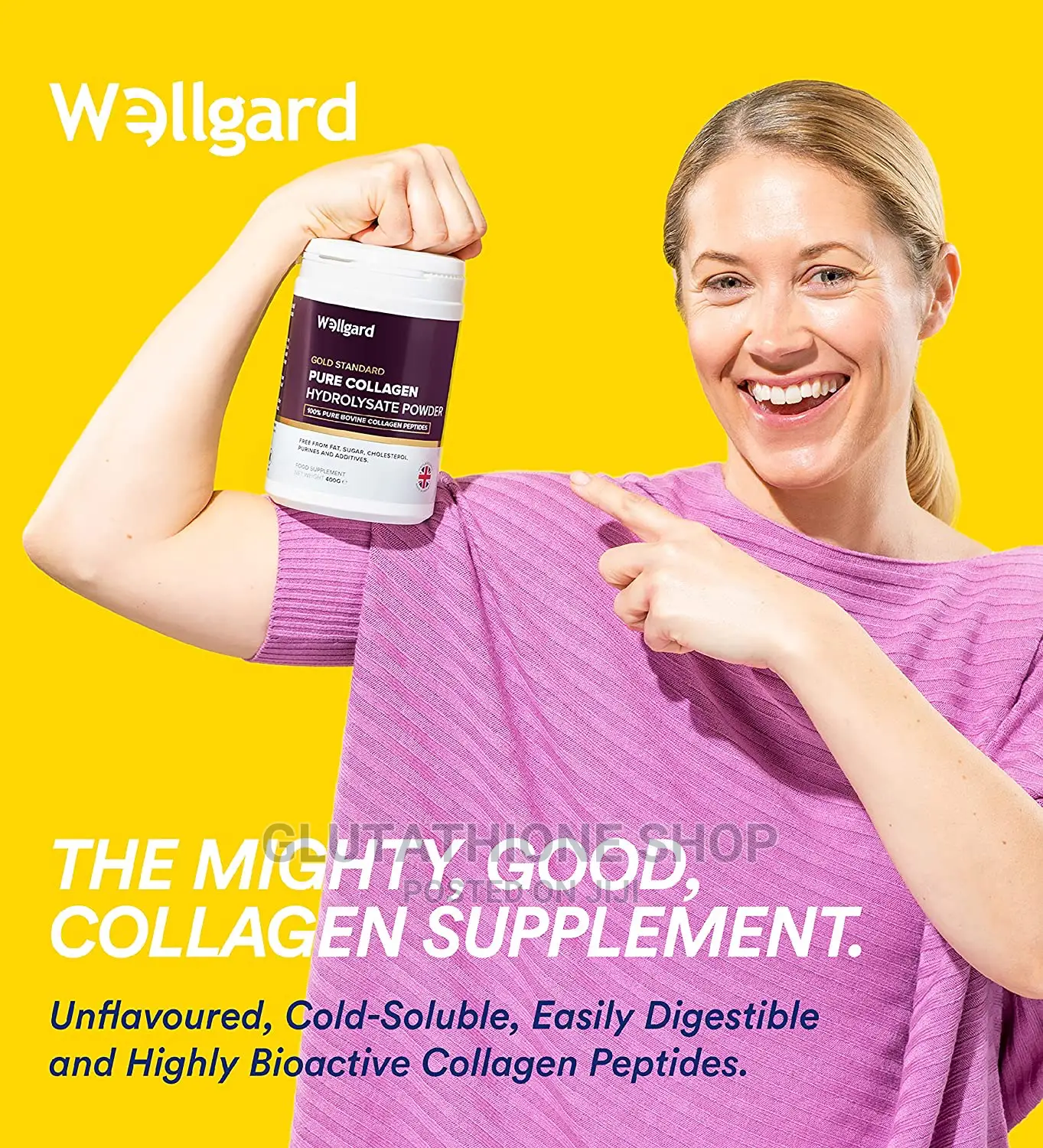 Wellgard Pure Collagen Powder