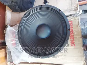 JLD 15 Inches Naked Speaker