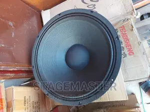 GLS 21 Inches Naked Speaker