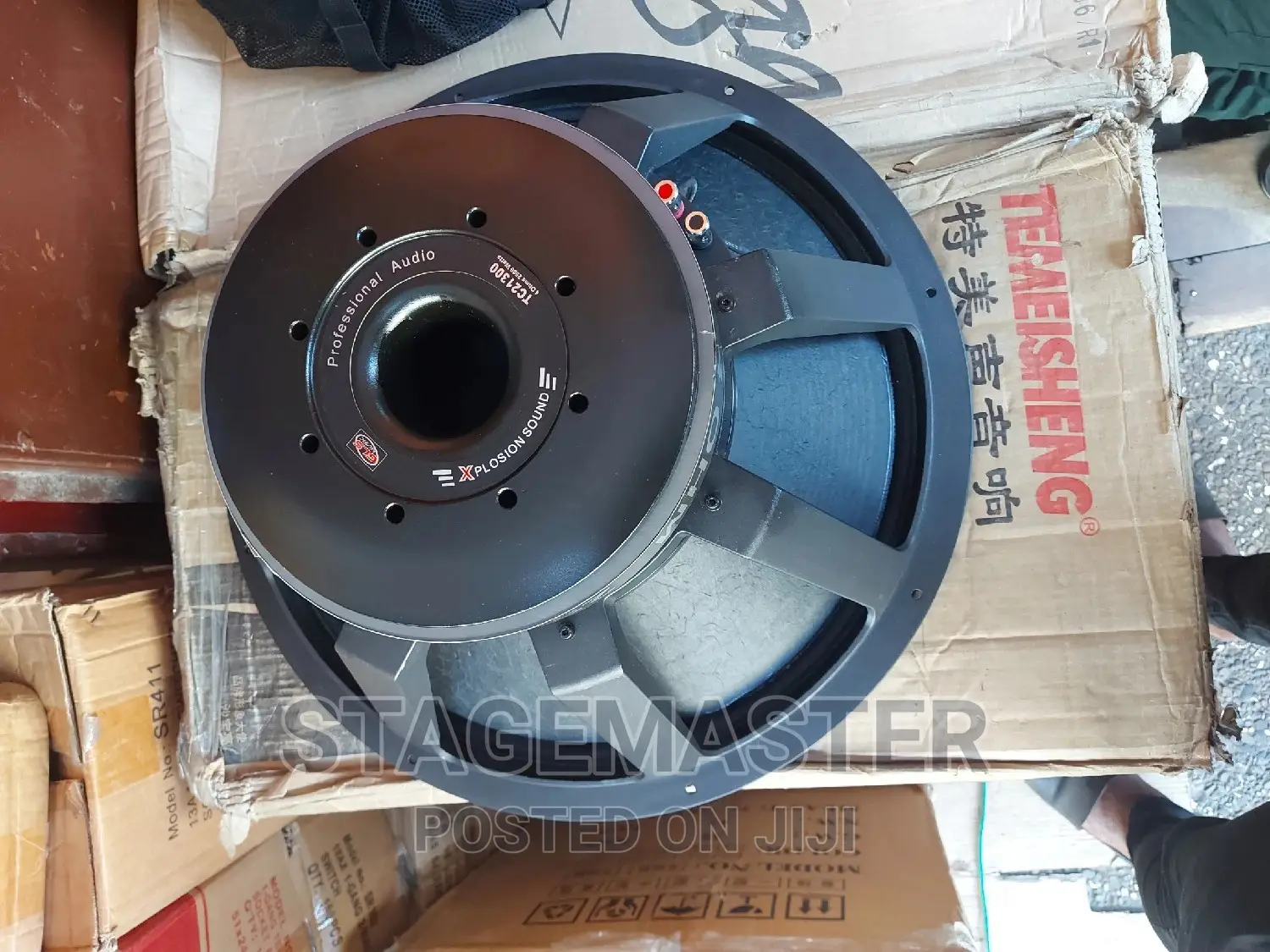 GLS 21 Inches Naked Speaker
