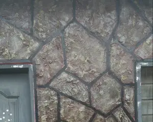 Wall Putty and P.O.P Wall Designs