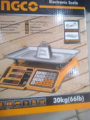 Ingco Electronic Scale 30kg