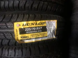 225/70r17 Dunlop