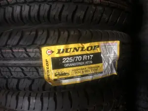 225/70r17 Dunlop