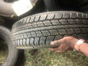 225/70r17 Dunlop