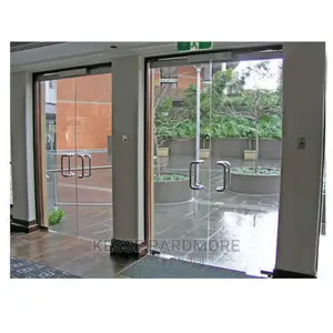 Frameless Swing Doors