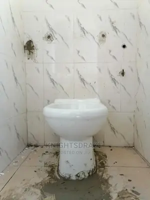 Professional Plumbing Services