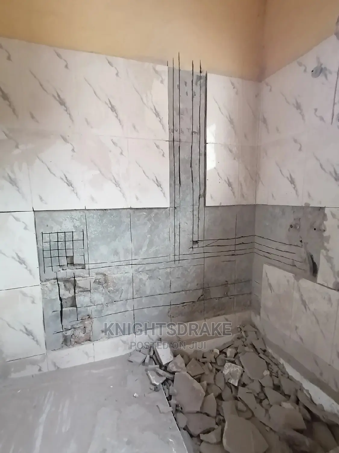 Professional Plumbing Services