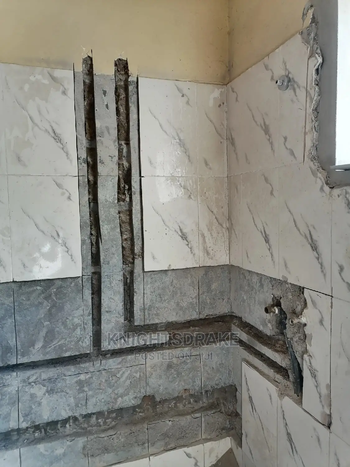 Professional Plumbing Services