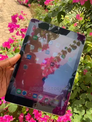 Apple iPad 9.7 128 GB Gray