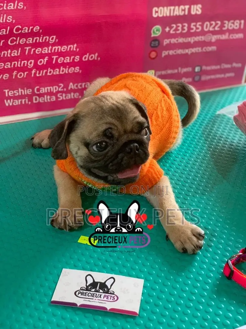 Pug Life Clothings