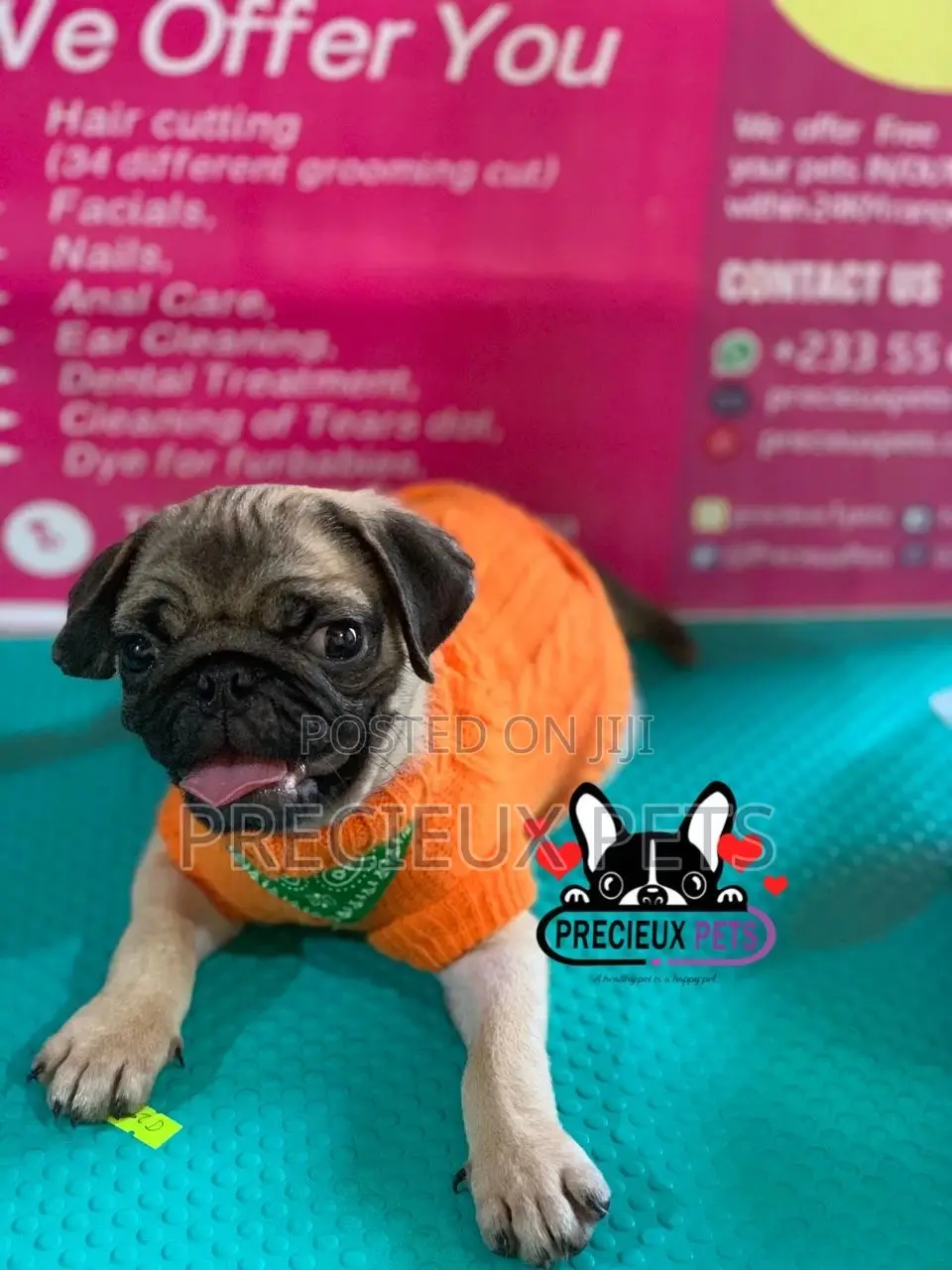 Pug Life Clothings
