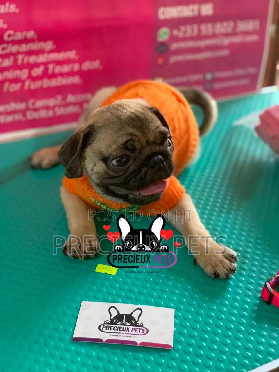 Pug Life Clothings