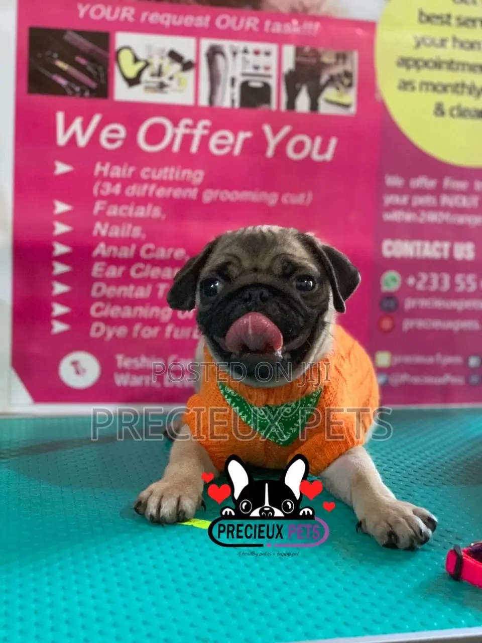 Pug Life Clothings