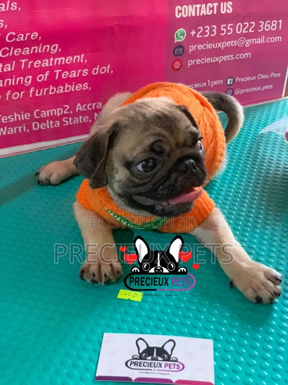 Pug Life Clothings