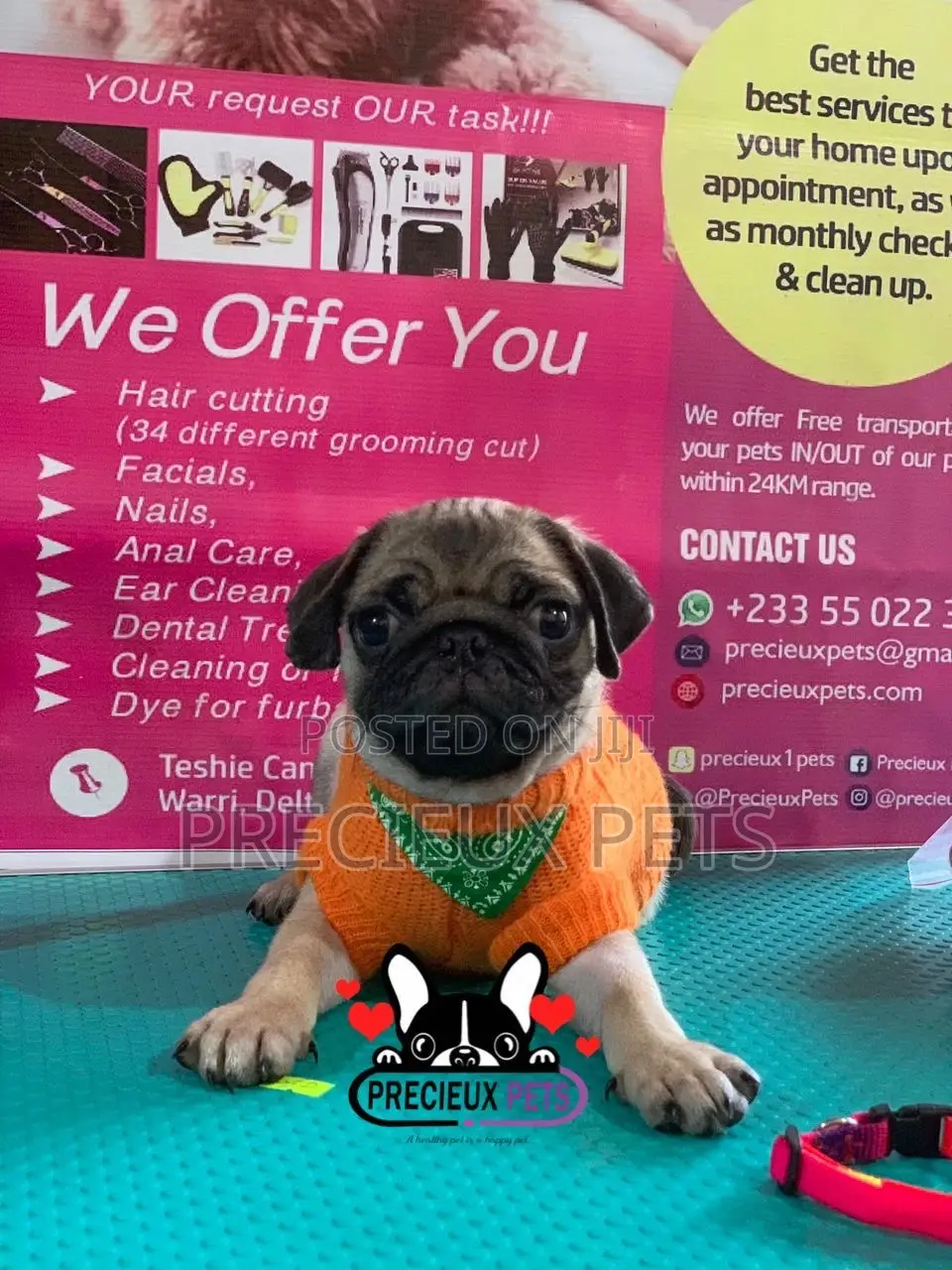 Pug Life Clothings