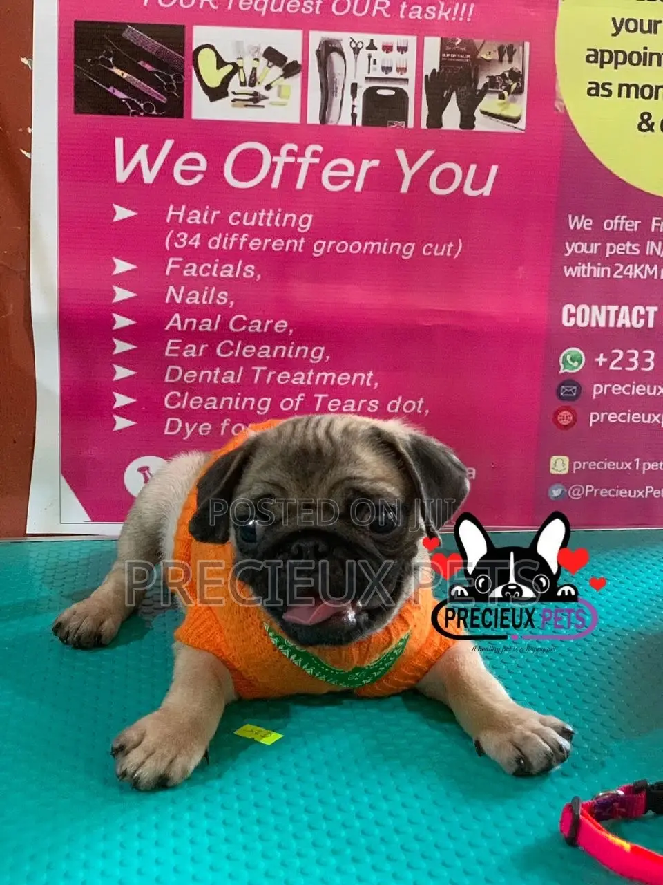 Pug Life Clothings
