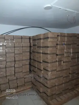 Nitrile Gloves