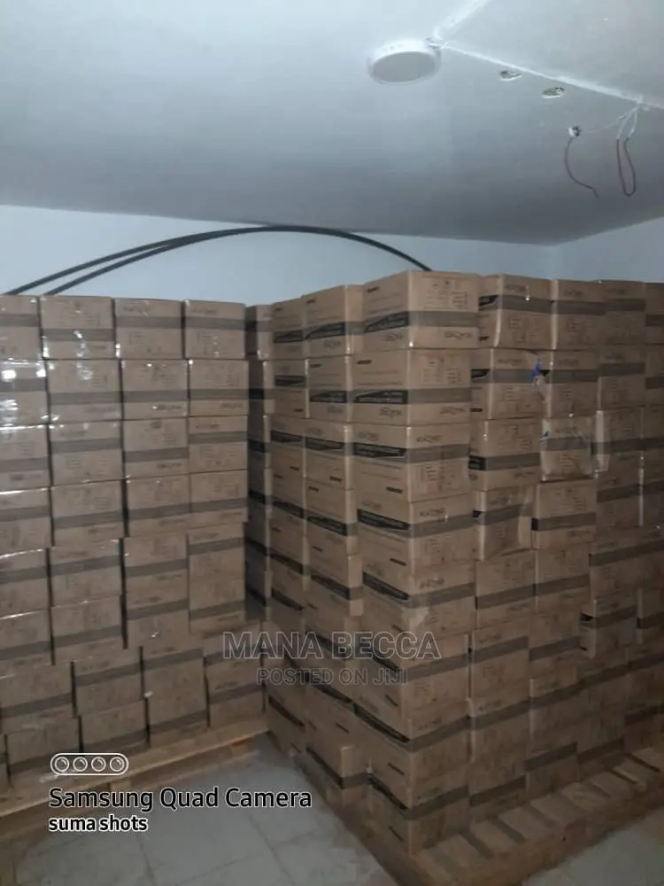 Nitrile Gloves