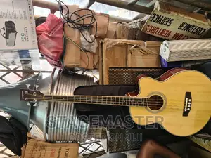 Semi Acoustic Bass Guitar