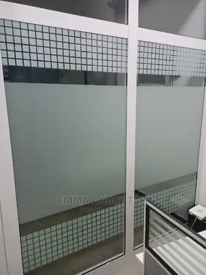 Tint Windows