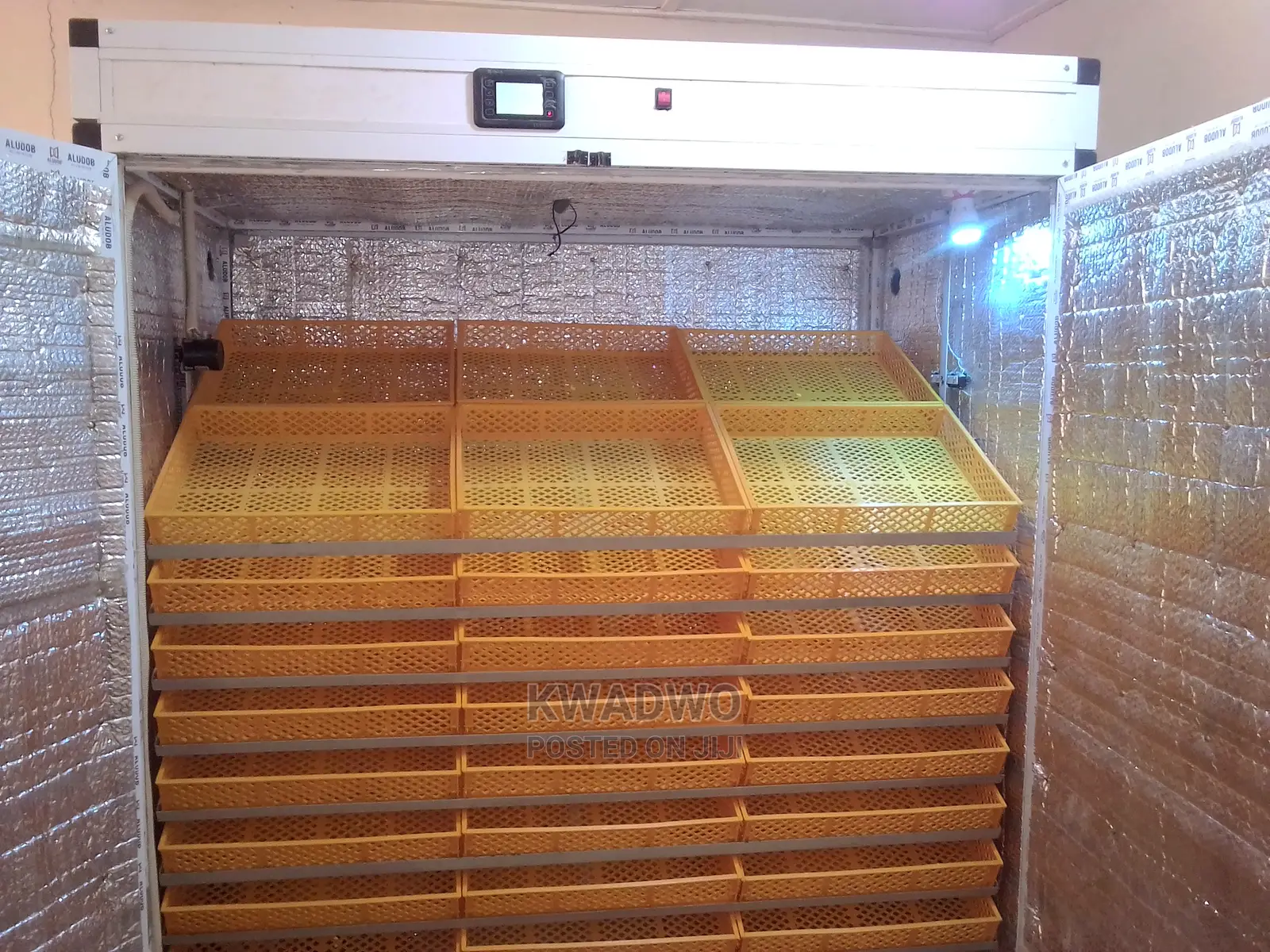 Egg Incubator