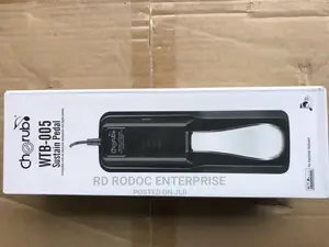 Sustain Pedal