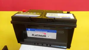 19 Plates Car Battery 100ah Platinum Batteries+Free Delivery