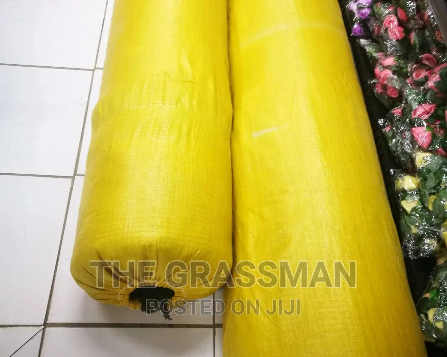 Modern Floor With Green Grass Carpet