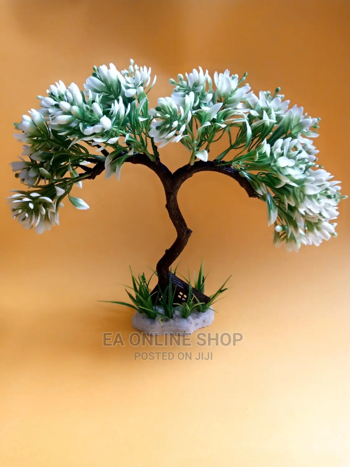 Aquarium Plants