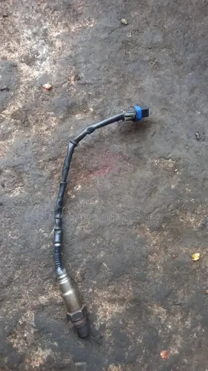 Oxygen Sensor for All Cars Available
