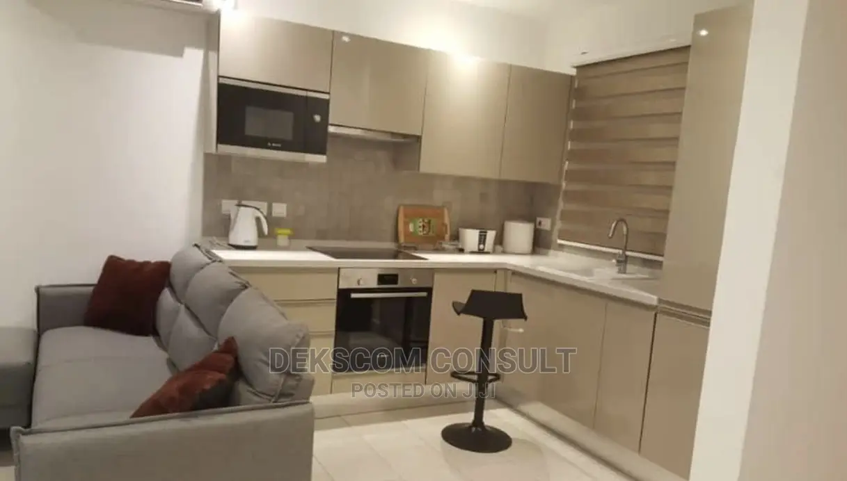 Furnished 1bdrm Apartment in Osu for rent