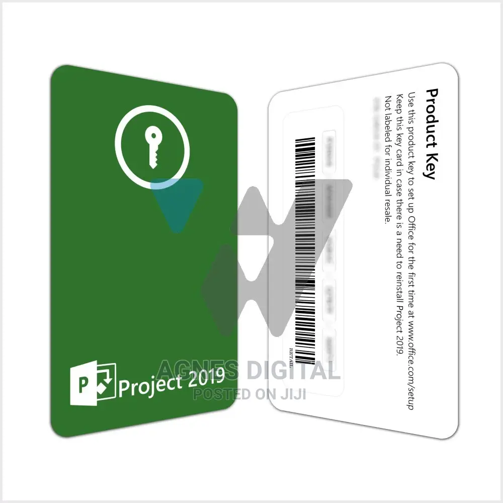 Microsoft Project 2019 Professional (2PC License)