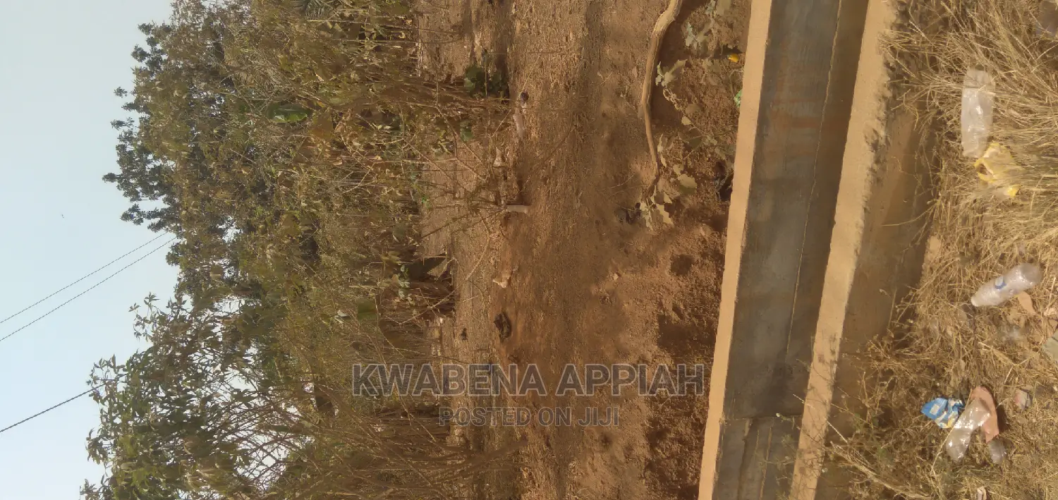 Plot of Land at Essereso Sawua Is on Sales