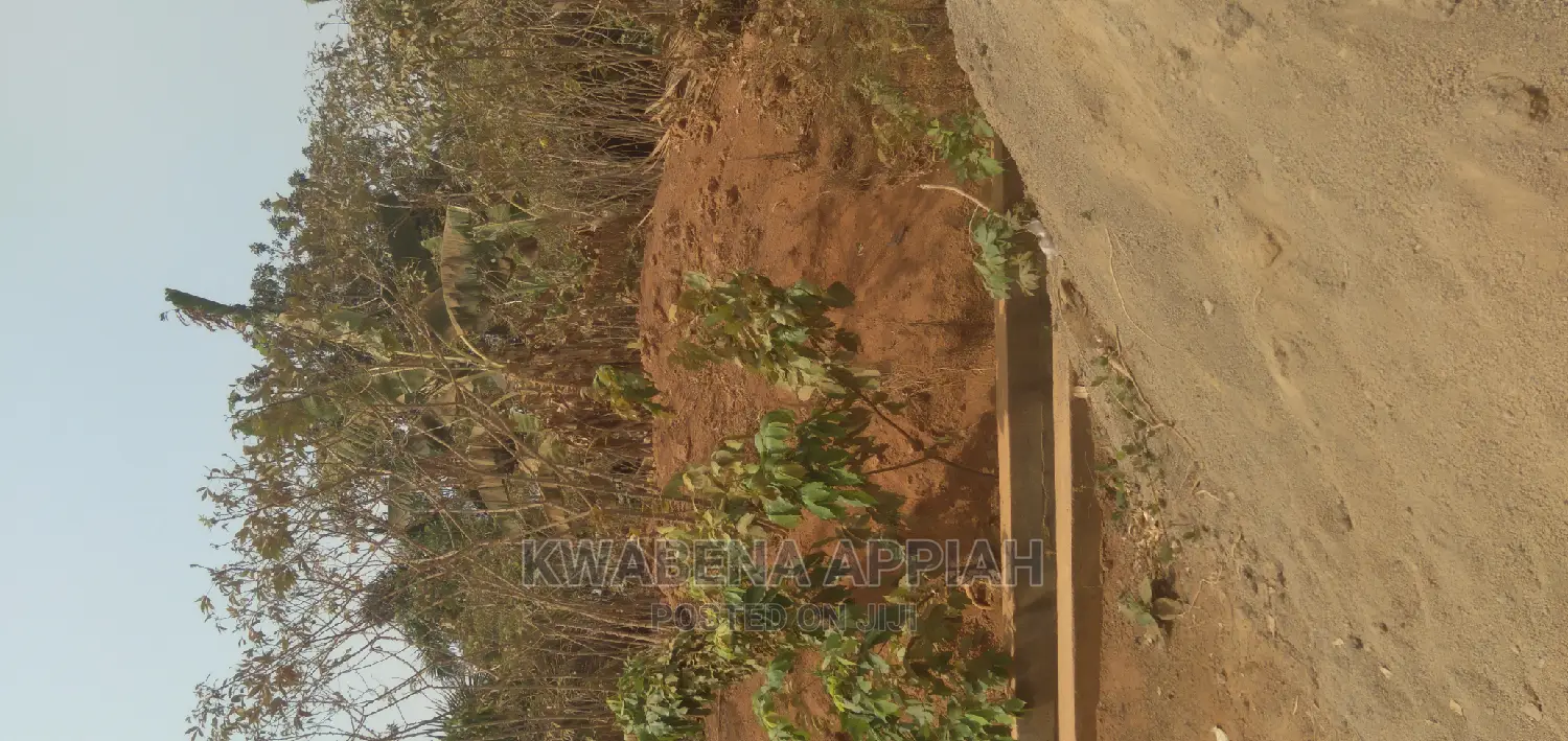 Plot of Land at Essereso Sawua Is on Sales
