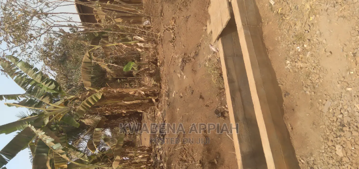 Plot of Land at Essereso Sawua Is on Sales