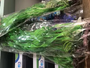 Aquarium Artificial Plants