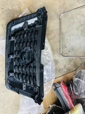 Kicks Top Grille and I Have Everything for This Car