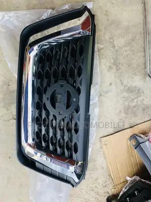 Kicks Top Grille and I Have Everything for This Car