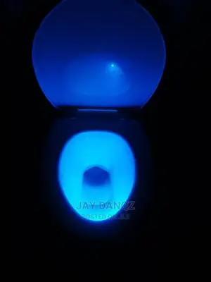 Smart Waterproof Toilet Seat Light