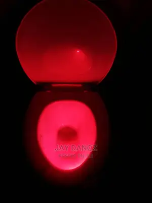 Smart Waterproof Toilet Seat Light
