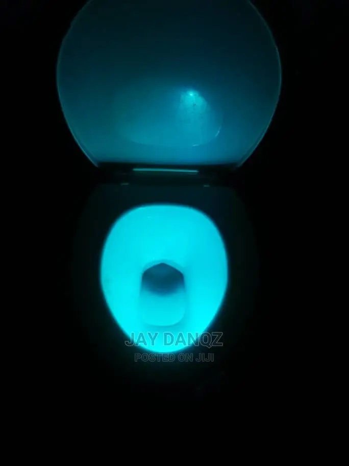 Smart Waterproof Toilet Seat Light