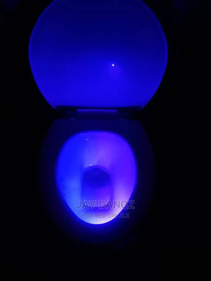 Smart Waterproof Toilet Seat Light
