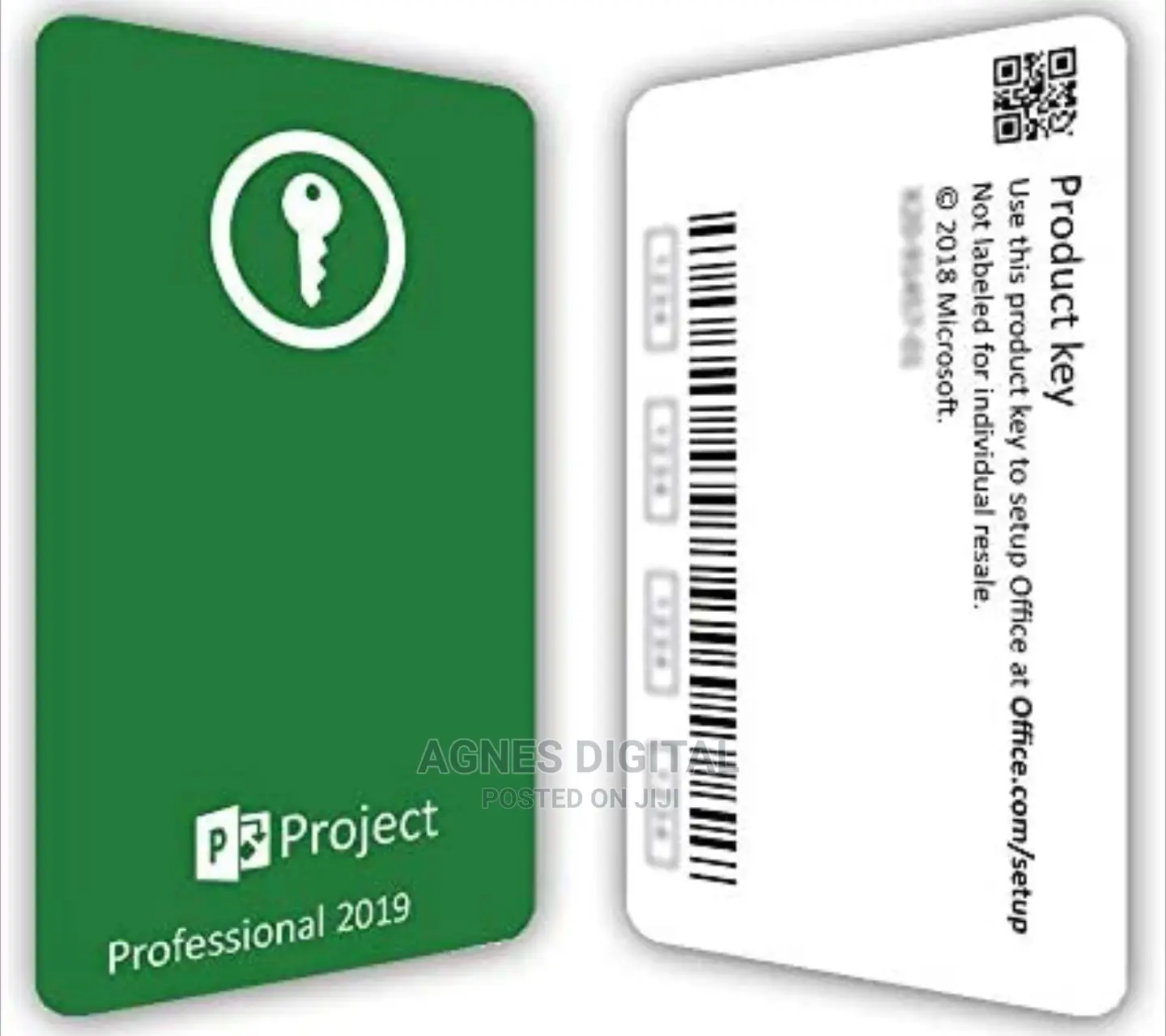 Project 2019 Professional 1PC [License Key - Lifetime]