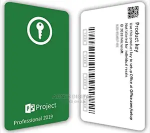 Project 2019 Professional 1PC [License Key - Lifetime]