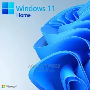 Microsoft Windows 11 Home License Key (2PC)