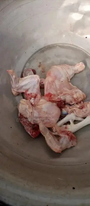 Matured Broilers