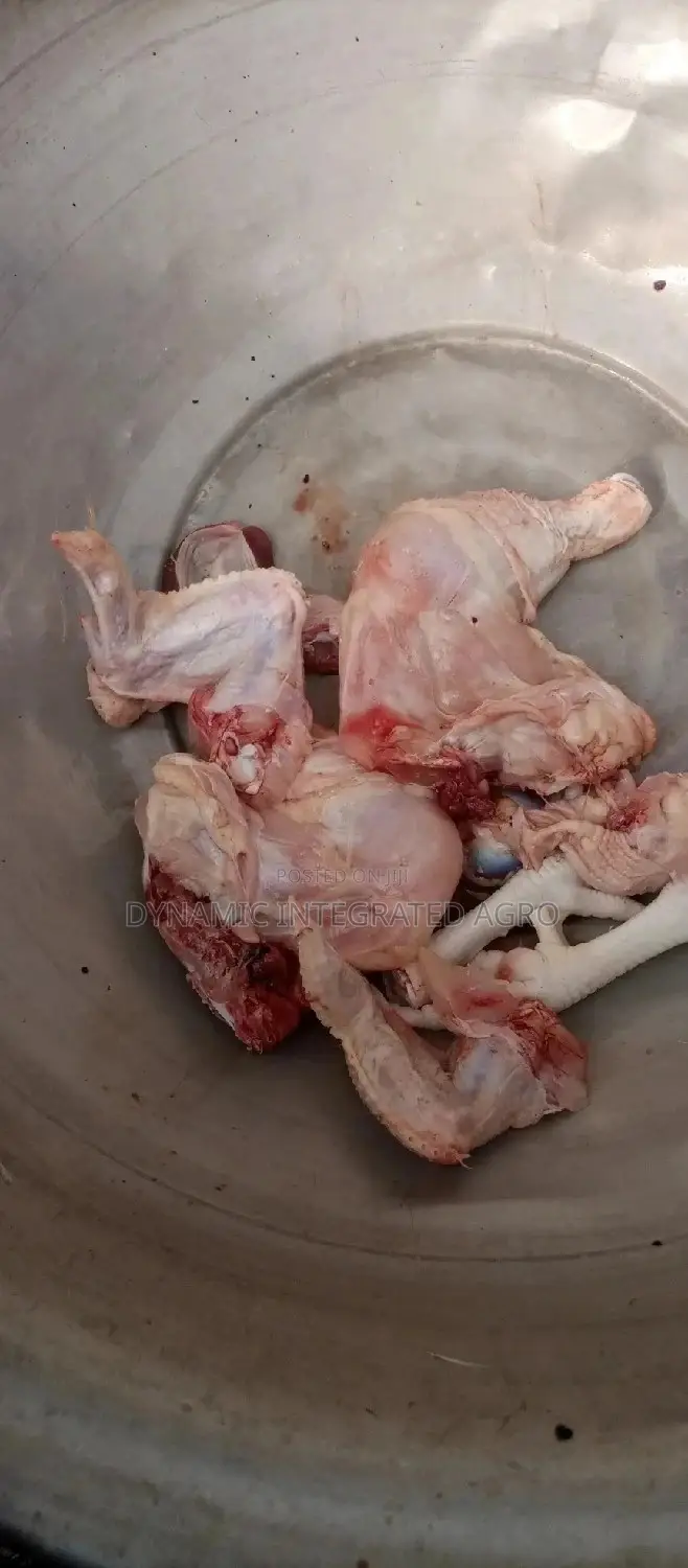 Matured Broilers
