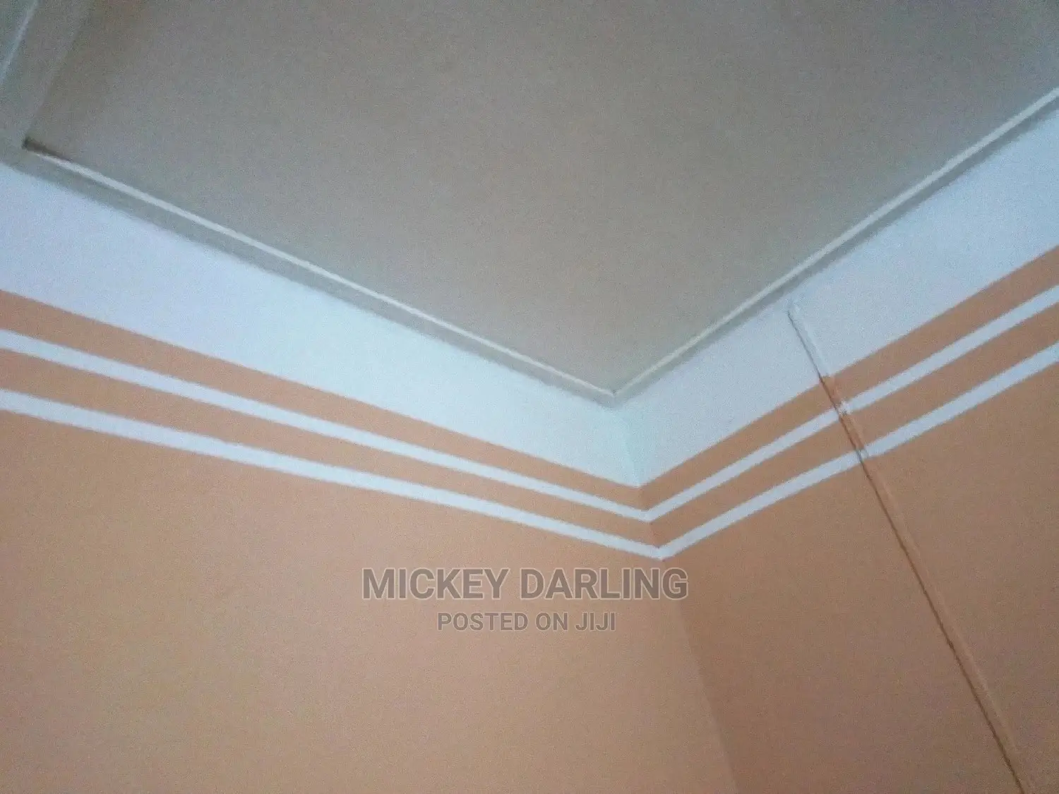Professional Painter and Wallpaper Expert