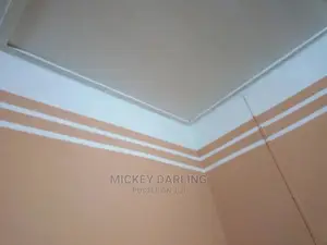 Professional Painter and Wallpaper Expert
